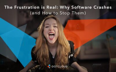 The Frustration is Real: Why Software Crashes (and How to Stop Them)